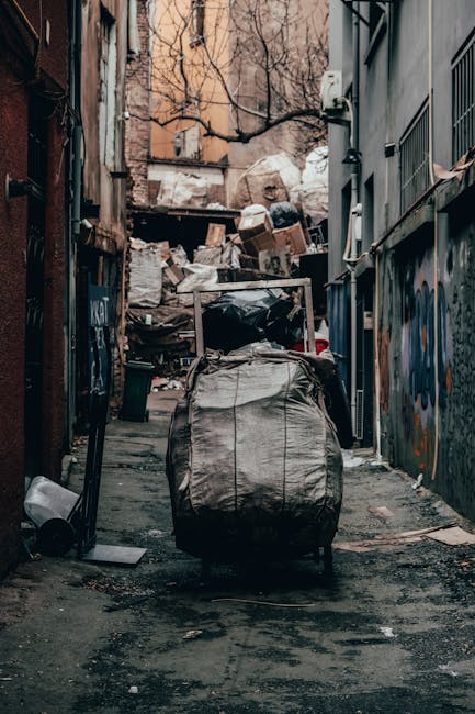 Chiswick rubbish removal prices what to expect